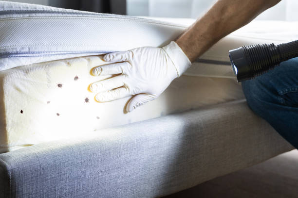 Best Pest Removal Services  in Highland Rk, PA